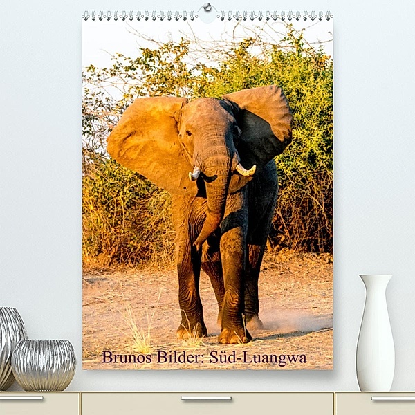 Brunos Bilder: Süd-Luangwa (Premium, hochwertiger DIN A2 Wandkalender 2023, Kunstdruck in Hochglanz), Bruno Pohl