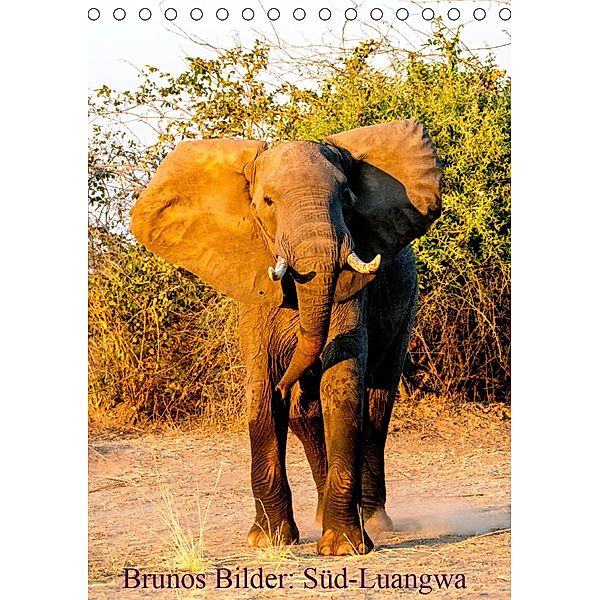 Brunos Bilder: Süd-Luangwa (Tischkalender 2021 DIN A5 hoch), Bruno Pohl