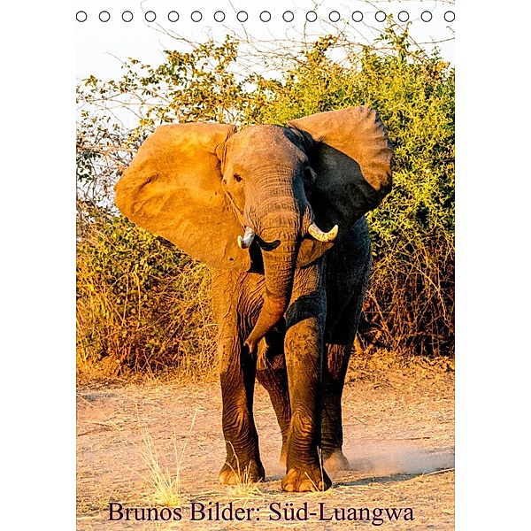 Brunos Bilder: Süd-Luangwa (Tischkalender 2023 DIN A5 hoch), Bruno Pohl