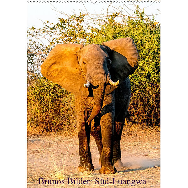 Brunos Bilder: Süd-Luangwa (Wandkalender 2019 DIN A2 hoch), Bruno Pohl