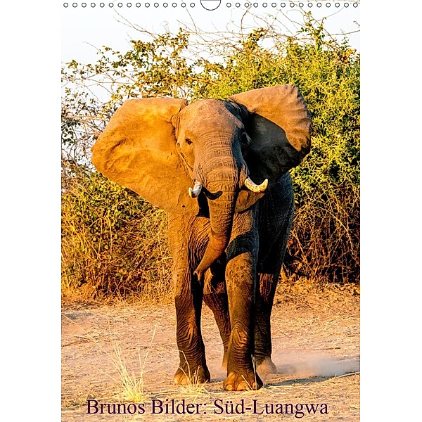 Brunos Bilder: Süd-Luangwa (Wandkalender 2021 DIN A3 hoch), Bruno Pohl