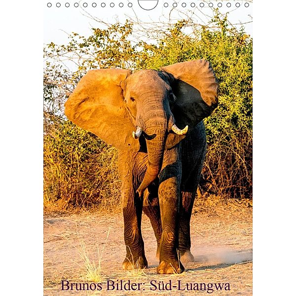 Brunos Bilder: Süd-Luangwa (Wandkalender 2021 DIN A4 hoch), Bruno Pohl