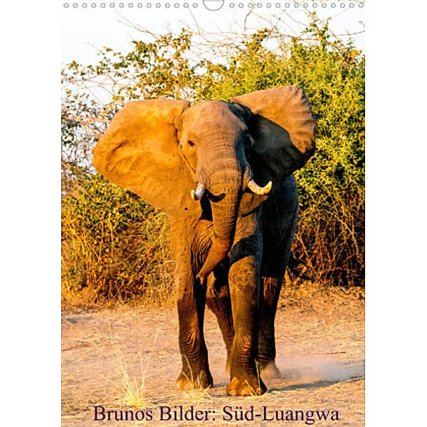 Brunos Bilder: Süd-Luangwa (Wandkalender 2022 DIN A3 hoch), Bruno Pohl