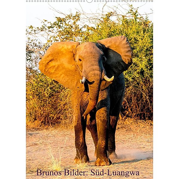 Brunos Bilder: Süd-Luangwa (Wandkalender 2023 DIN A2 hoch), Bruno Pohl