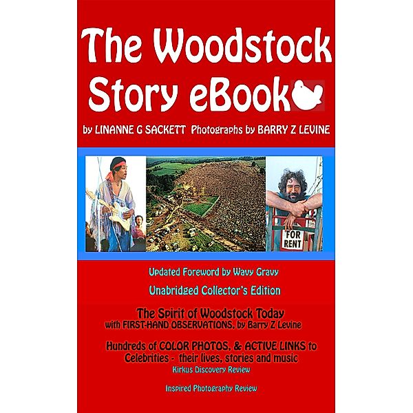 Brunswick Institute: The Woodstock Story eBook, Linanne G. Sackett