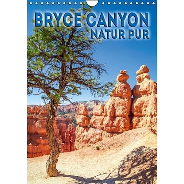 BRYCE CANYON Natur Pur (Wandkalender 2015 DIN A4 hoch), Melanie Viola