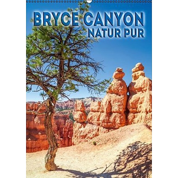 BRYCE CANYON Natur Pur (Wandkalender 2016 DIN A2 hoch), Melanie Viola