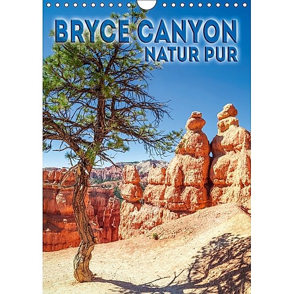 BRYCE CANYON Natur Pur (Wandkalender 2018 DIN A4 hoch), Melanie Viola
