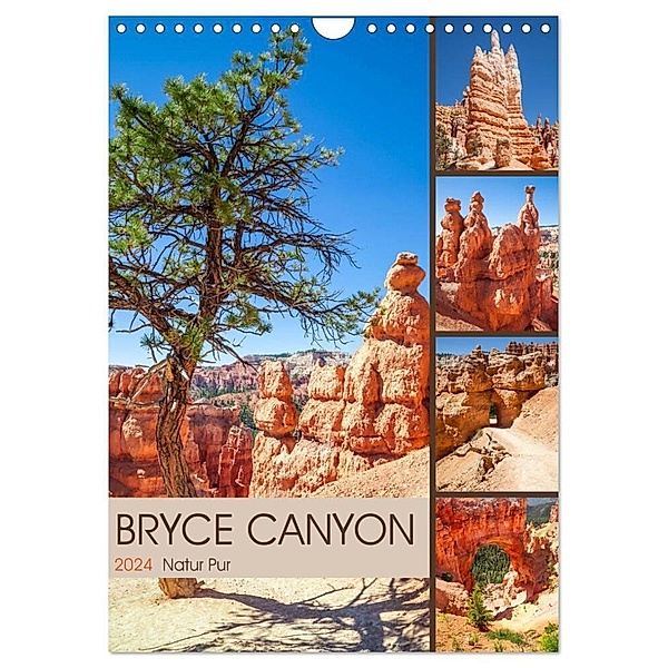 BRYCE CANYON Natur Pur (Wandkalender 2024 DIN A4 hoch), CALVENDO Monatskalender, Melanie Viola