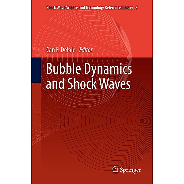 Bubble Dynamics and Shock Waves / Shock Wave Science and Technology Reference Library Bd.8