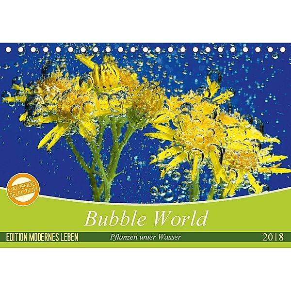 Bubble World - Pflanzen unter Wasser (Tischkalender 2018 DIN A5 quer), Stefan Sattler