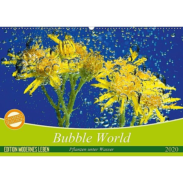 Bubble World - Pflanzen unter Wasser (Wandkalender 2020 DIN A2 quer), Stefan Sattler