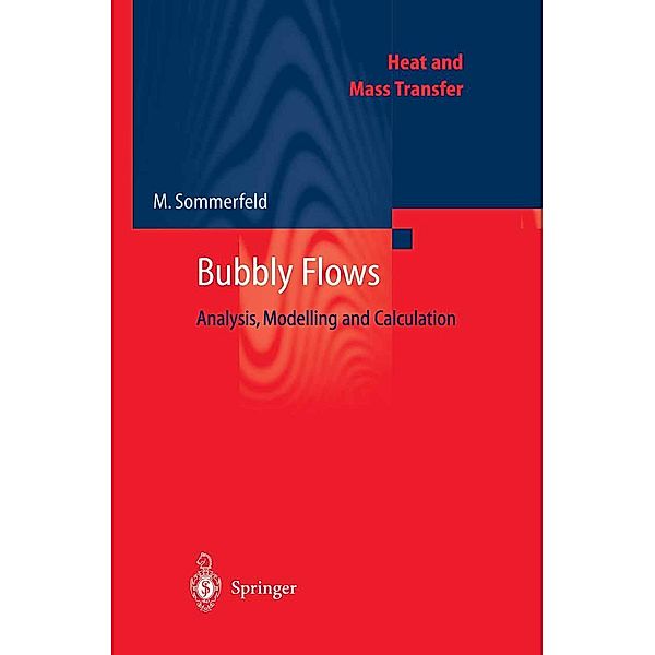 Bubbly Flows / Heat and Mass Transfer