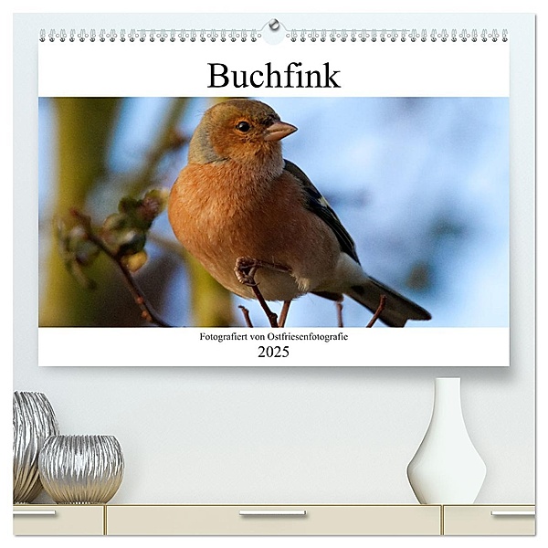 Buchfink - Fotografiert von Ostfriesenfotografie (hochwertiger Premium Wandkalender 2025 DIN A2 quer), Kunstdruck in Hochglanz, Calvendo, Christina Betten - Ostfriesenfotografie