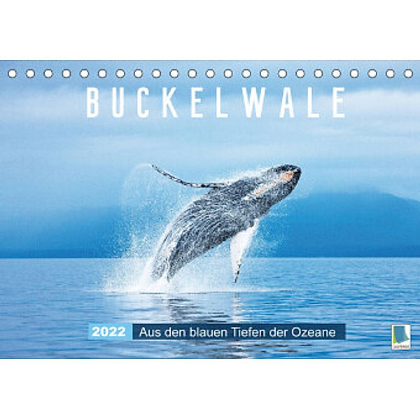 Buckelwale: Aus den blauen Tiefen der Ozeane (Tischkalender 2022 DIN A5 quer), Calvendo