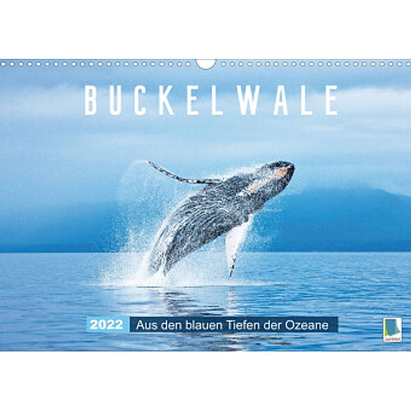 Buckelwale: Aus den blauen Tiefen der Ozeane (Wandkalender 2022 DIN A3 quer), Calvendo