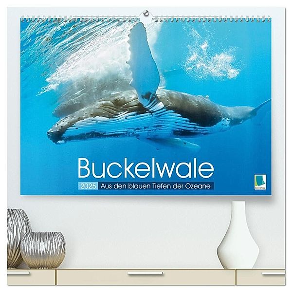 Buckelwale: Aus den blauen Tiefen der Ozeane (hochwertiger Premium Wandkalender 2025 DIN A2 quer), Kunstdruck in Hochglanz, Calvendo