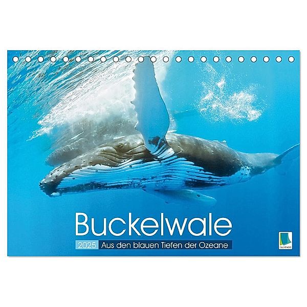 Buckelwale: Aus den blauen Tiefen der Ozeane (Tischkalender 2025 DIN A5 quer), CALVENDO Monatskalender, Calvendo