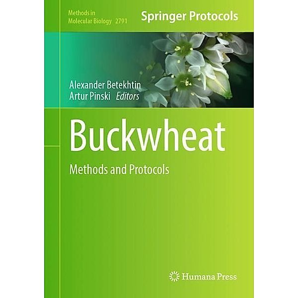 Buckwheat