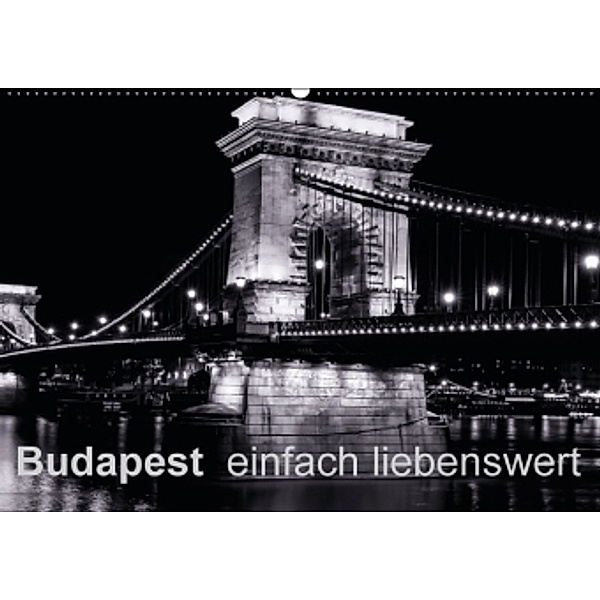Budapest einfach liebenswert (Wandkalender 2015 DIN A2 quer), Frank Baumert