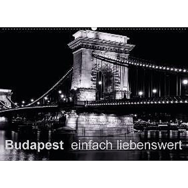 Budapest einfach liebenswert (Wandkalender 2016 DIN A2 quer), Frank Baumert