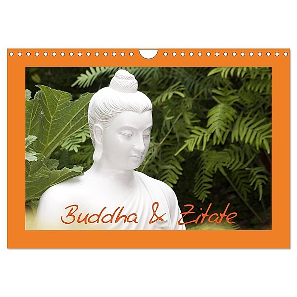 Buddha & Zitate (Wandkalender 2024 DIN A4 quer), CALVENDO Monatskalender, Elisabeth Stanzer