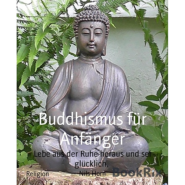 Buddhismus für Anfänger, Nils Horn