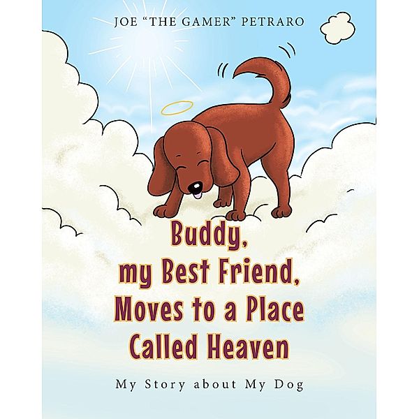 Buddy, my Best Friend, Moves to a Place Called Heaven, Joe The Gamer" Petraro