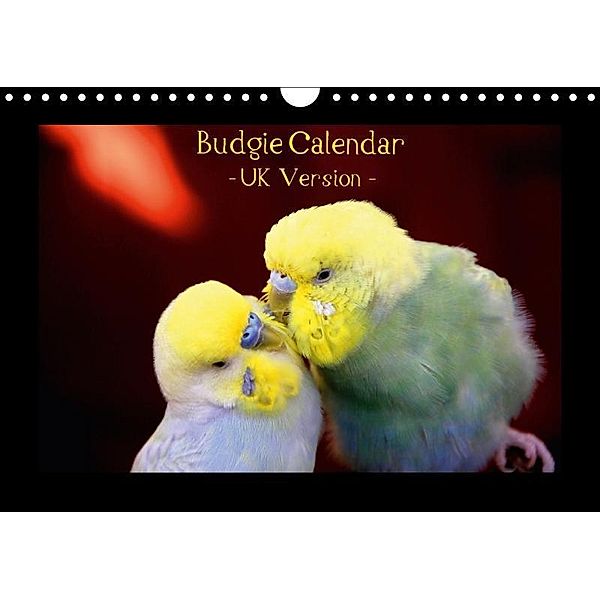 Budgie Calendar - UK Version (Wall Calendar 2017 DIN A4 Landscape), Björn Bergmann