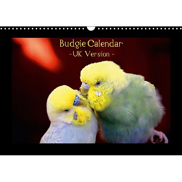 Budgie Calendar - UK Version (Wall Calendar 2018 DIN A3 Landscape), Björn Bergmann