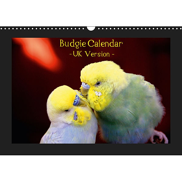 Budgie Calendar - UK Version (Wall Calendar 2019 DIN A3 Landscape), Björn Bergmann