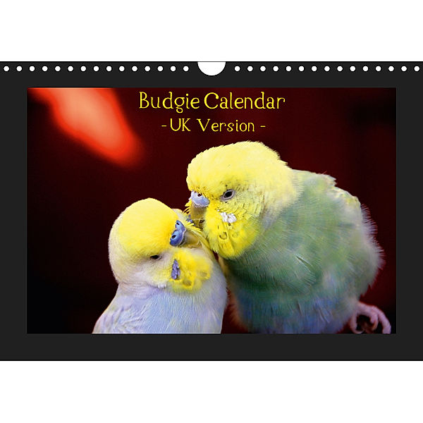 Budgie Calendar - UK Version (Wall Calendar 2019 DIN A4 Landscape), Björn Bergmann