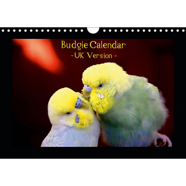 Budgie Calendar - UK Version (Wall Calendar 2021 DIN A4 Landscape), Björn Bergmann