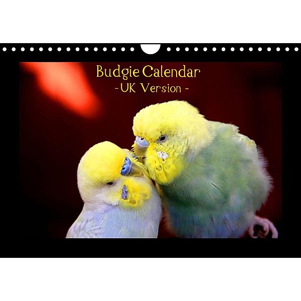 Budgie Calendar - UK Version (Wall Calendar 2023 DIN A4 Landscape), Björn Bergmann