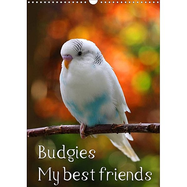 Budgies - my best friends (Wall Calendar 2023 DIN A3 Portrait), Björn Bergmann