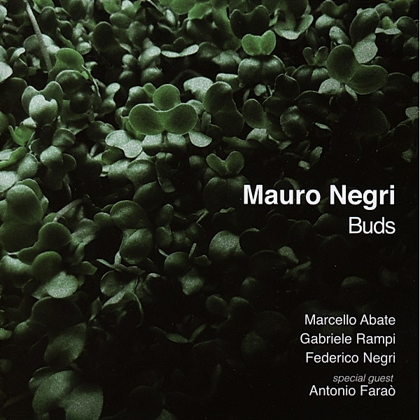 Buds, Mauro Negri