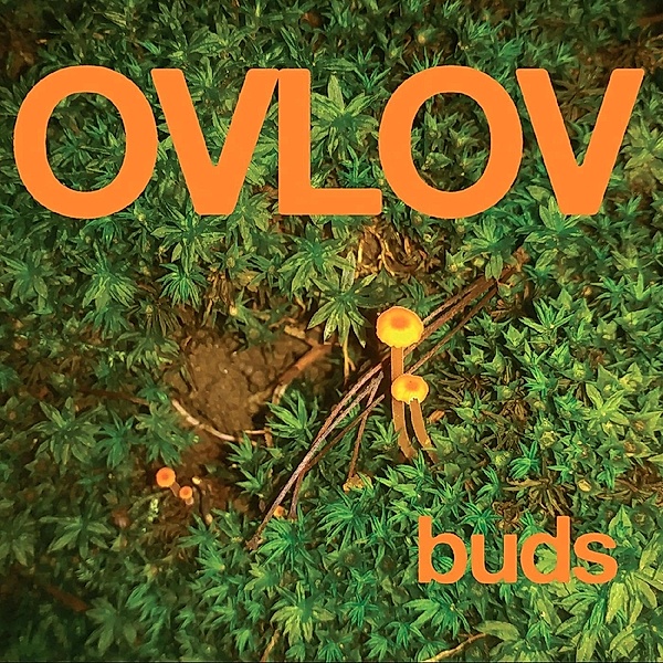Buds (Vinyl), Ovlov