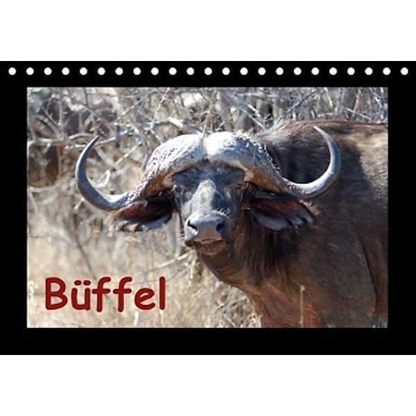 Büffel (Tischkalender 2016 DIN A5 quer), Britta Ohm
