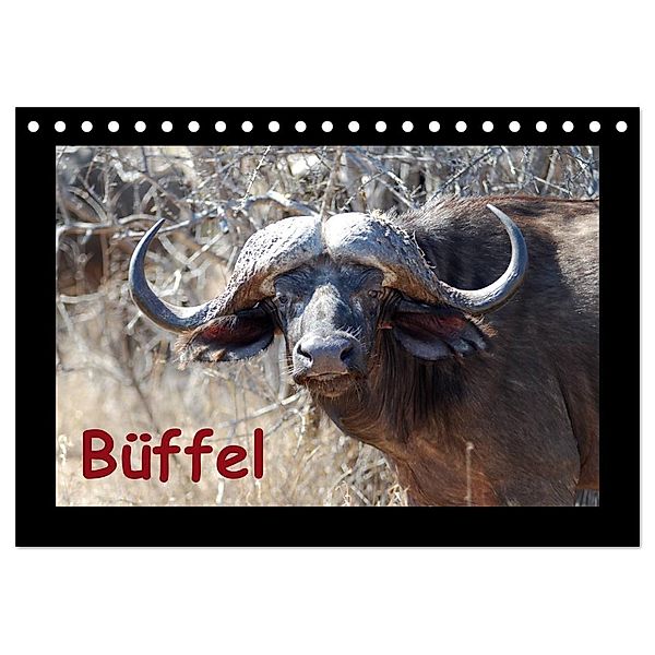 Büffel (Tischkalender 2024 DIN A5 quer), CALVENDO Monatskalender, Britta Ohm