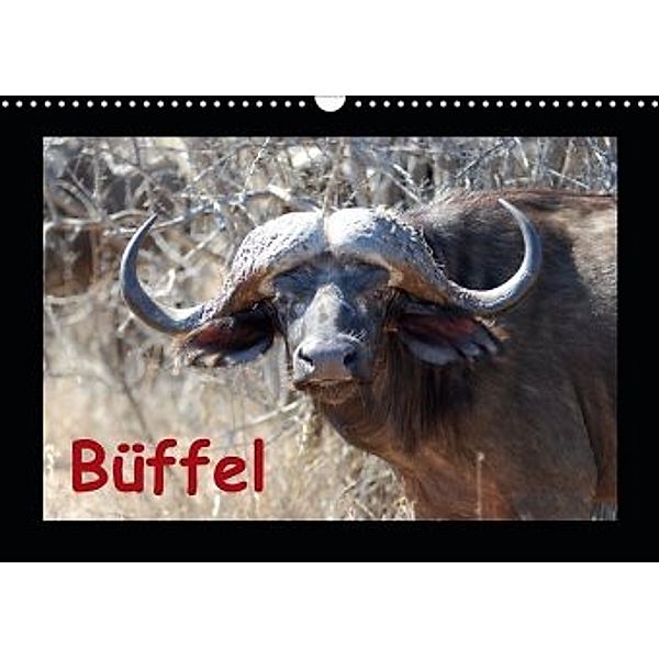 Büffel (Wandkalender 2020 DIN A3 quer), Britta Ohm