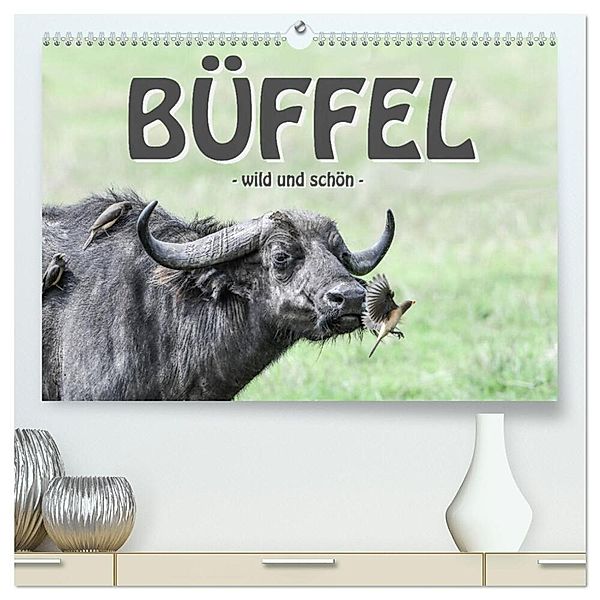 Büffel - wild und schön (hochwertiger Premium Wandkalender 2024 DIN A2 quer), Kunstdruck in Hochglanz, Robert Styppa