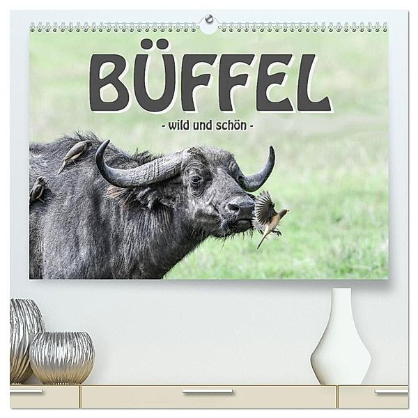 Büffel - wild und schön (hochwertiger Premium Wandkalender 2025 DIN A2 quer), Kunstdruck in Hochglanz, Calvendo, Robert Styppa