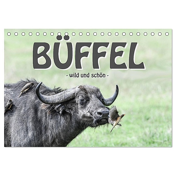 Büffel - wild und schön (Tischkalender 2024 DIN A5 quer), CALVENDO Monatskalender, Robert Styppa
