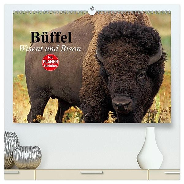 Büffel. Wisent und Bison (hochwertiger Premium Wandkalender 2024 DIN A2 quer), Kunstdruck in Hochglanz, Elisabeth Stanzer