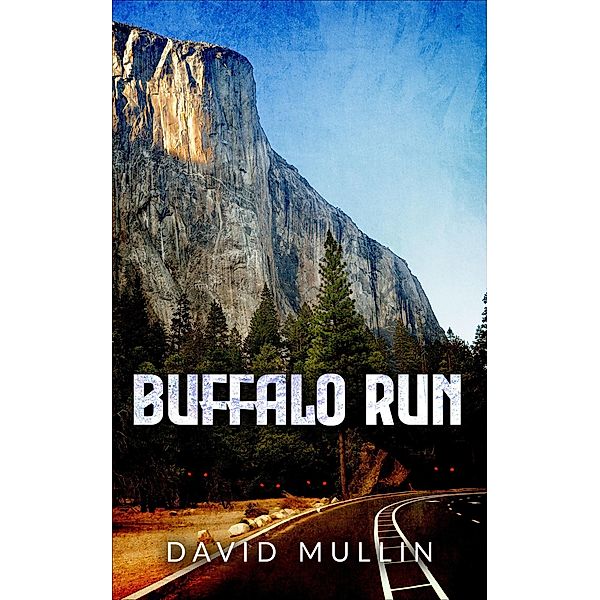 Buffalo Run, David Mullin
