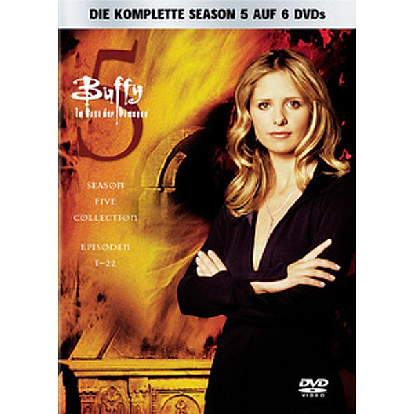 Buffy - Im Bann der Dämonen - Season 5, Diverse Interpreten