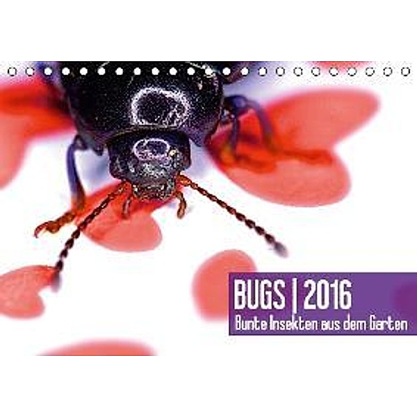 BUGS 2016, Bunte Insekten aus dem Garten AT-Version (Tischkalender 2016 DIN A5 quer), Hannes Bertolini