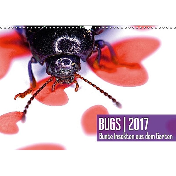 BUGS 2017, Bunte Insekten aus dem GartenAT-Version (Wandkalender 2017 DIN A3 quer), Hannes Bertolini