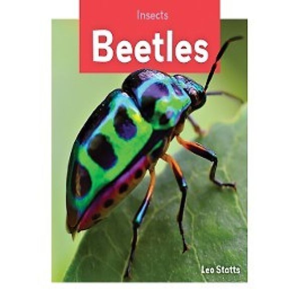 Bugs!: Beetles, Kristin Petrie