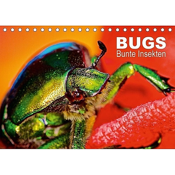 BUGS, Bunte Insekten (Tischkalender 2017 DIN A5 quer), Hannes Bertolini